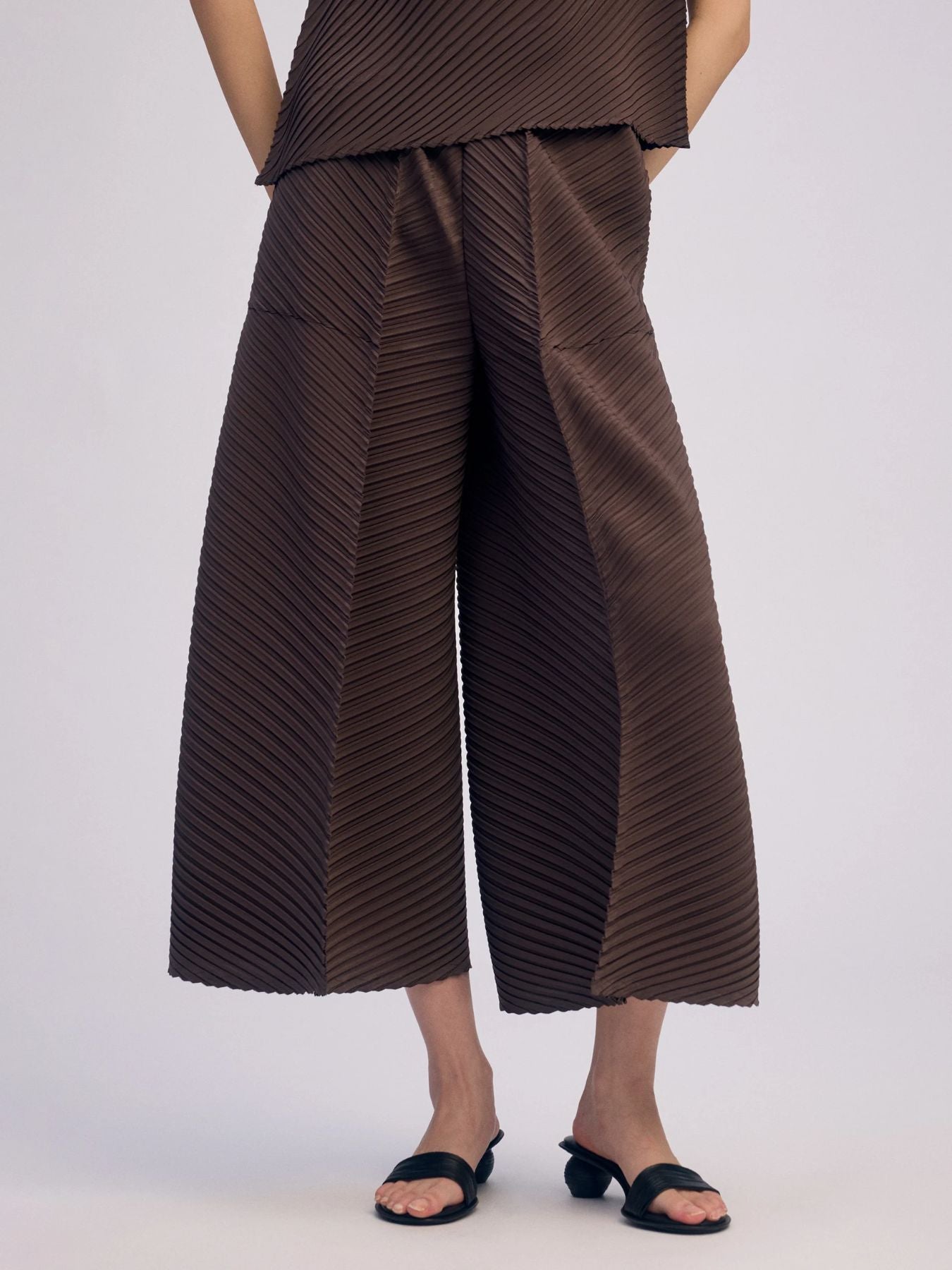 Plaster Pleats Solid Pants - Dark Brown