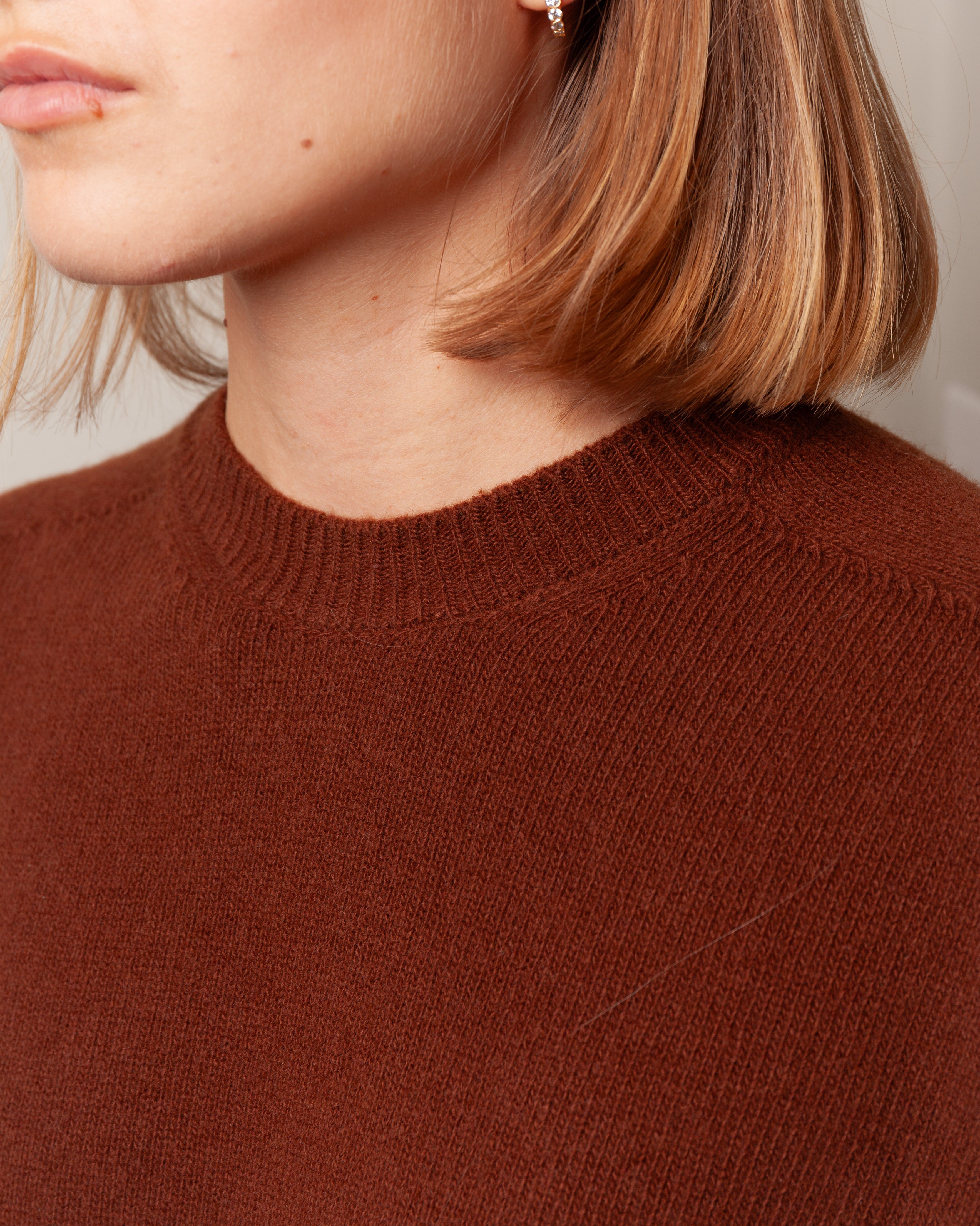 Mouse Seamless 3/4 Sleeve Crewneck - Chestnut