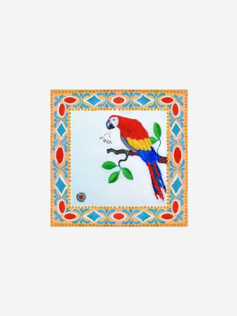 Massimo Alba-Pocket Handkerchief w/Parrot - Multi-Accessories-One Size-Boboli-Vancouver-Canada